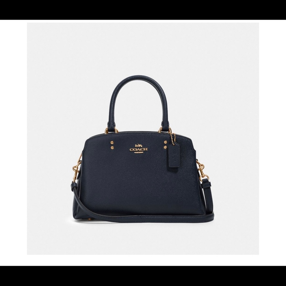 The Mini Lillie Carryall